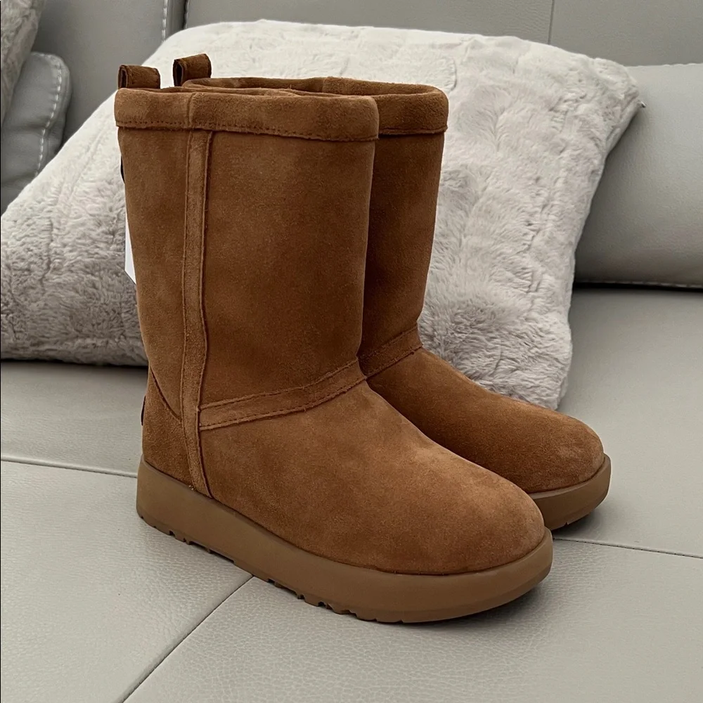NWT - UGG Classic Short Waterproof Boots - Chestnut - Picture 4 of 8
